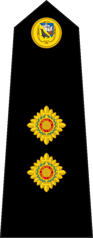 Lieutenant (FIDF).png