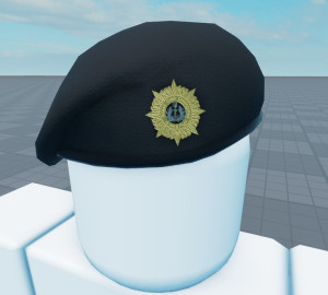 Coast guard beret 3.png