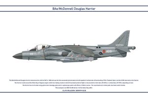 Harrier italy 1 by claveworks d8wrrkt-pre.jpg