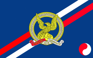 Airforce flag for cork.png
