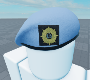 Coast guard beret 1.png