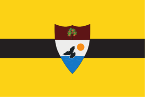 Flag of liberland.png