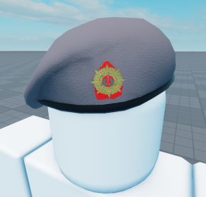 Coast guard beret 2.png