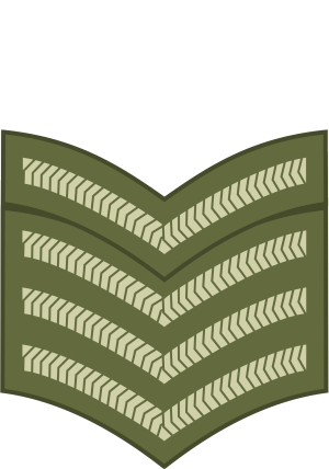 Company Quartermaster Sergeant (cork).png