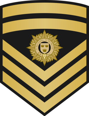 Navy OR 8.png